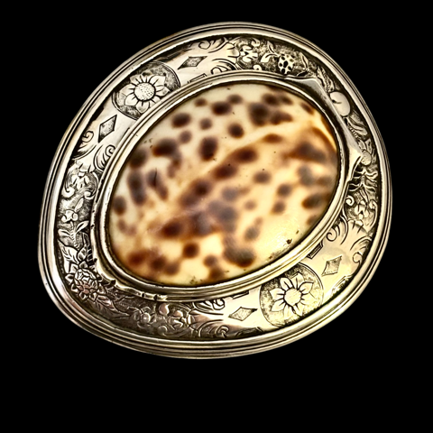 Cowrie shell snuff box