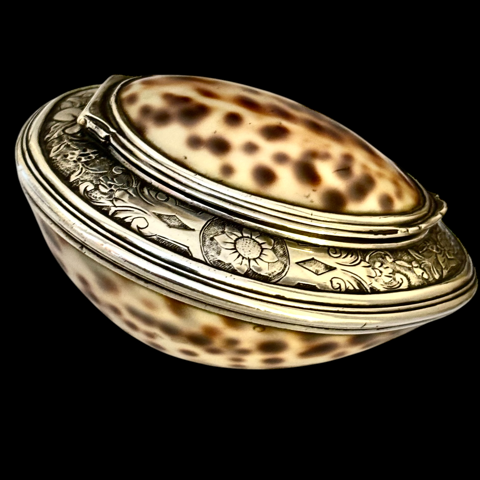Cowrie shell snuff box