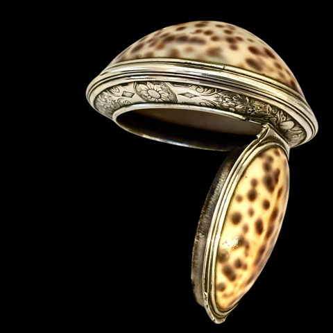 Cowrie shell snuff box
