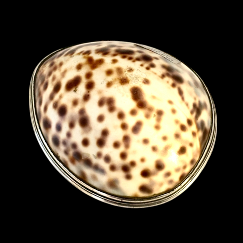 Cowrie shell snuff box