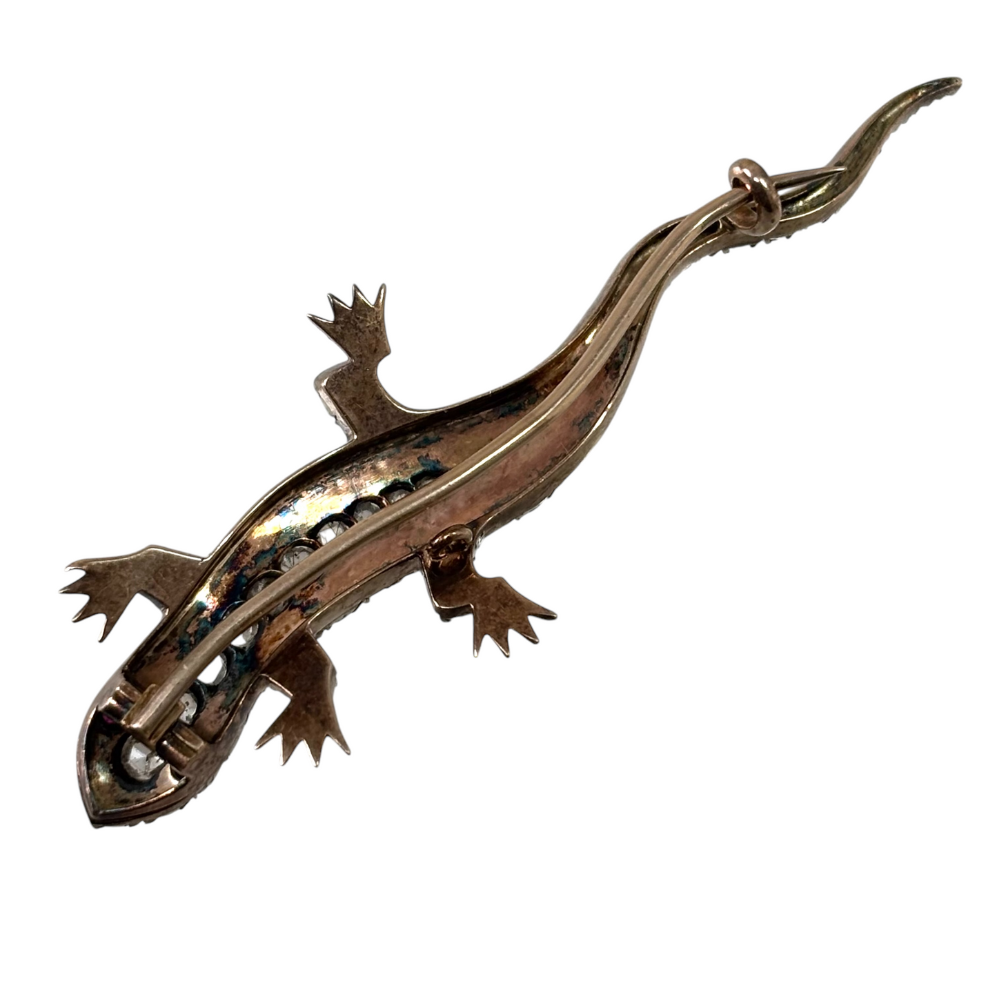 Lizard brooch