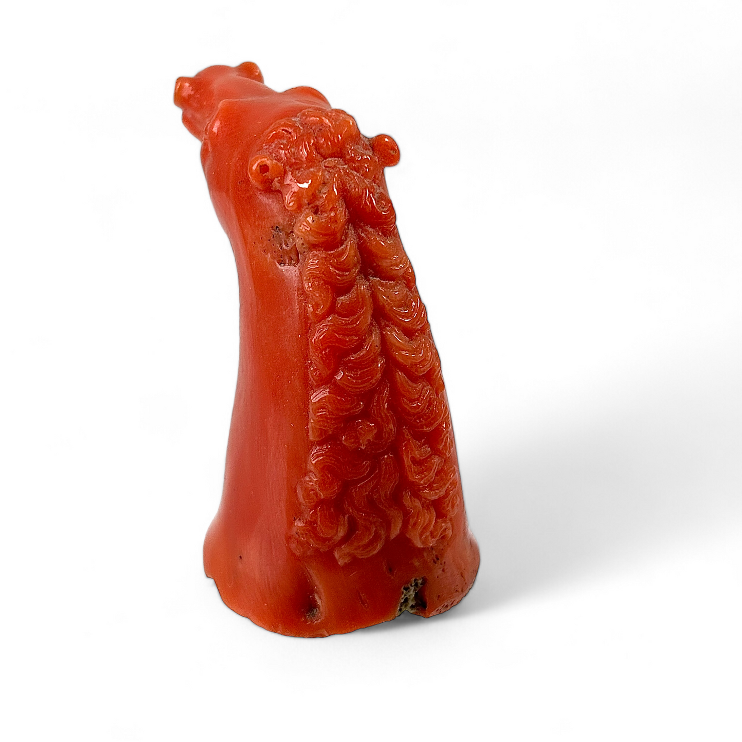 Coral horse