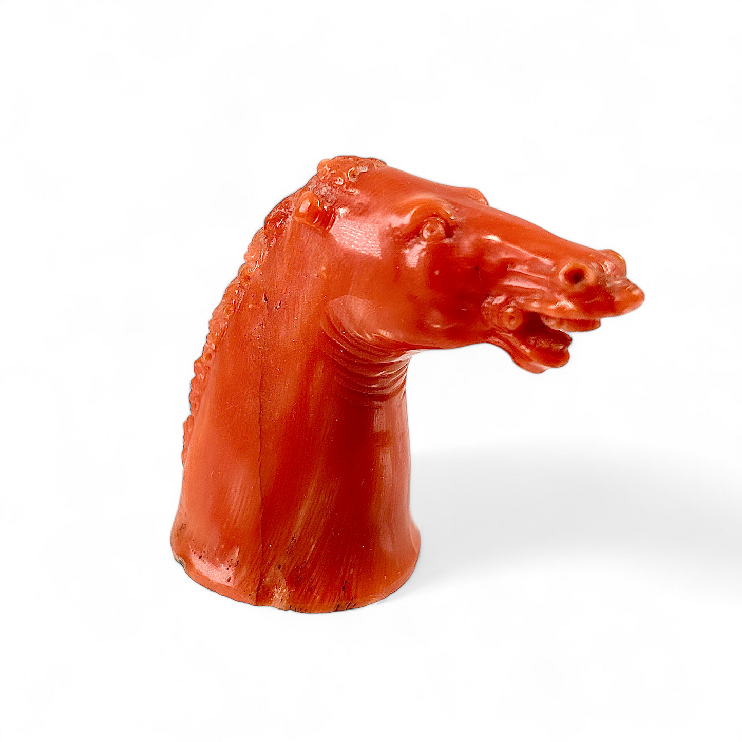 Coral horse