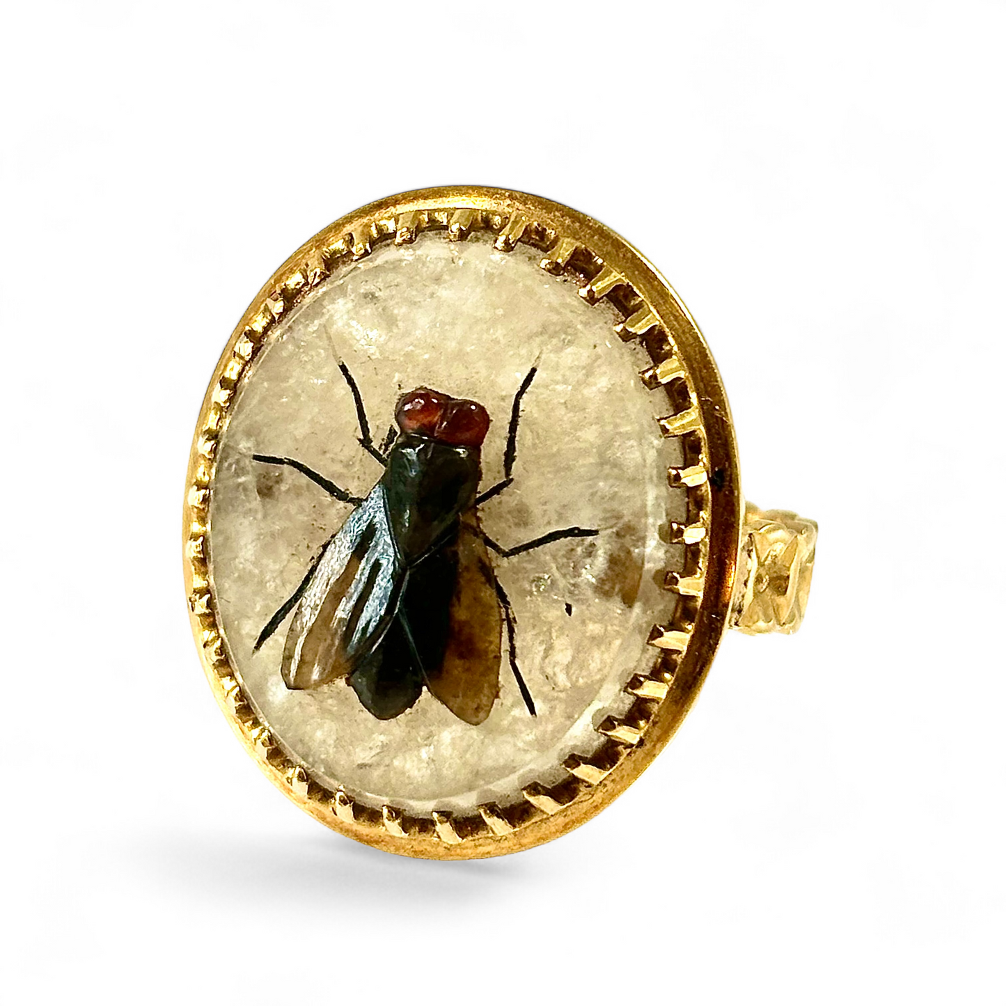 Fly ring