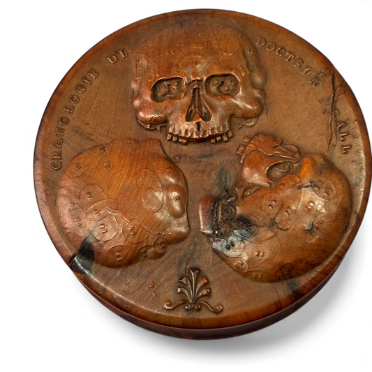 Phrenology snuff box