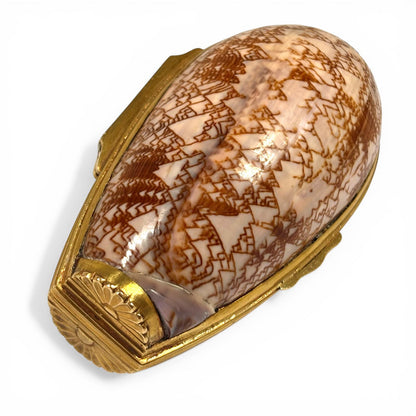 Gold mounted shell box